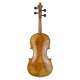 Violine 22081 Stefan Rehms