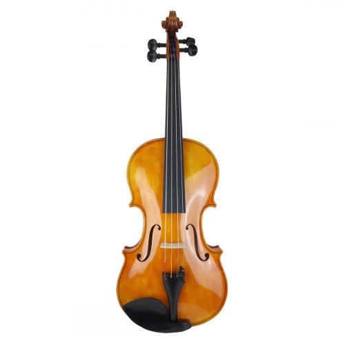 Viola 21872 Gerd Mallon