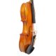 Violine 22131 Gerd Mallon