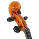 Violine 22131 Gerd Mallon
