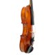 Violine 22101 Gerd Mallon