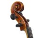 Historische Violine Paul Ritter