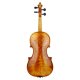 Violine 22131 Stefan Rehms