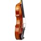 Violine 22131 Norbert Knappe