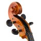 Cello 20850 Holger Krupke