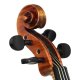 Violine 21871 Holger Krupke