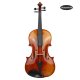 Viola 22182 Norbert Knappe