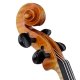 Violine 21871 Gerd Mallon