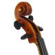 Violine 22181 Stefan Rehms