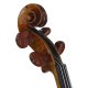 Violine Joseph Guarnerius