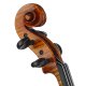 Violine 22131 Klaus & Karin Wunderlich