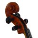 Violine Stefan Kreul