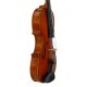 Violine Stefan Kreul