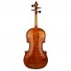 Violine Max Sandner