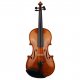 Violine Max Sandner