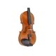 Gespielte Violine