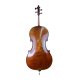 Gespieltes Cello 4/4