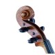 Gespielte Violine mit Zettel Antonius Stradivarius