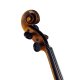 Gespielte Violine mit Zettel Carl Meisel