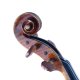 Migma Meistervioline Modell Guarneri