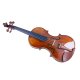 Migma Meistervioline Modell Guarneri
