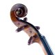 Migma Meisterviola Modell Stadivari