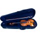 Violine Max Sandner