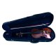 Violine Joseph Guarnerius