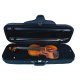 Gespielte Violine