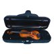 Violine Stefan Kreul