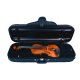 Violine Stefan Kreul