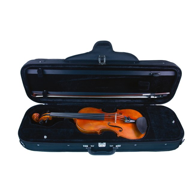 Violine Stefan Kreul