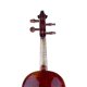Violine 22111 Veit Jacob