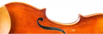 Royal Violins, Michael R. Wenzel